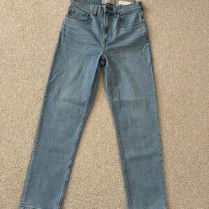 Everlane high rise cheeky jean